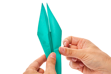 Origami Crane  