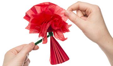 Large Tissue Paper Poppies