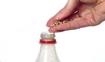 Bottle Bird Feeder