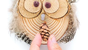 Log Slice Owl