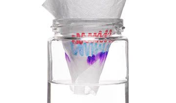 Chromatography Experiment & Flowers