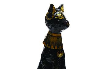 Sacred Cat Model