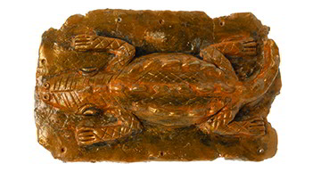 Crocodile Relief