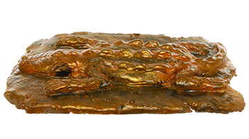 Crocodile Relief